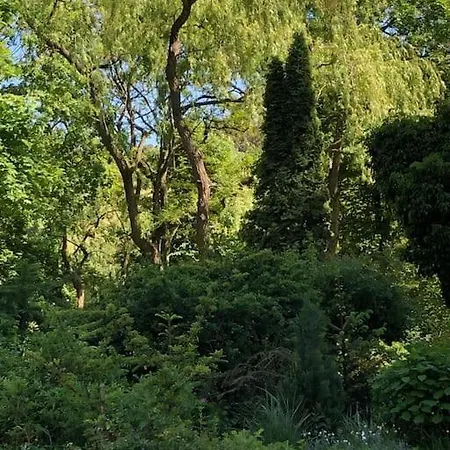 Przytulny Apartament Blisko Stoku Narciarskiego