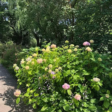 Przytulny Apartament Blisko Stoku Narciarskiego * Сопот