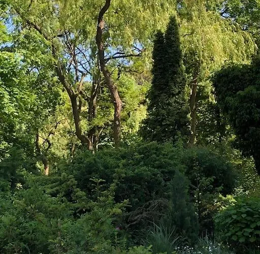 Przytulny W Spokojnej Dzielnicy Sopotu